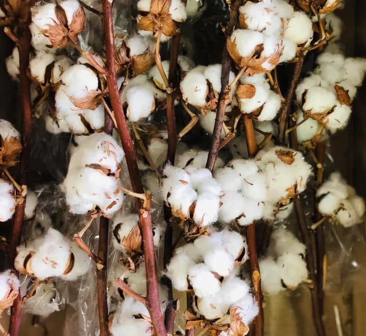 Nhộn nhịp thị trường mặt hàng trang trí Giáng sinh 2019 - Ảnh 3.