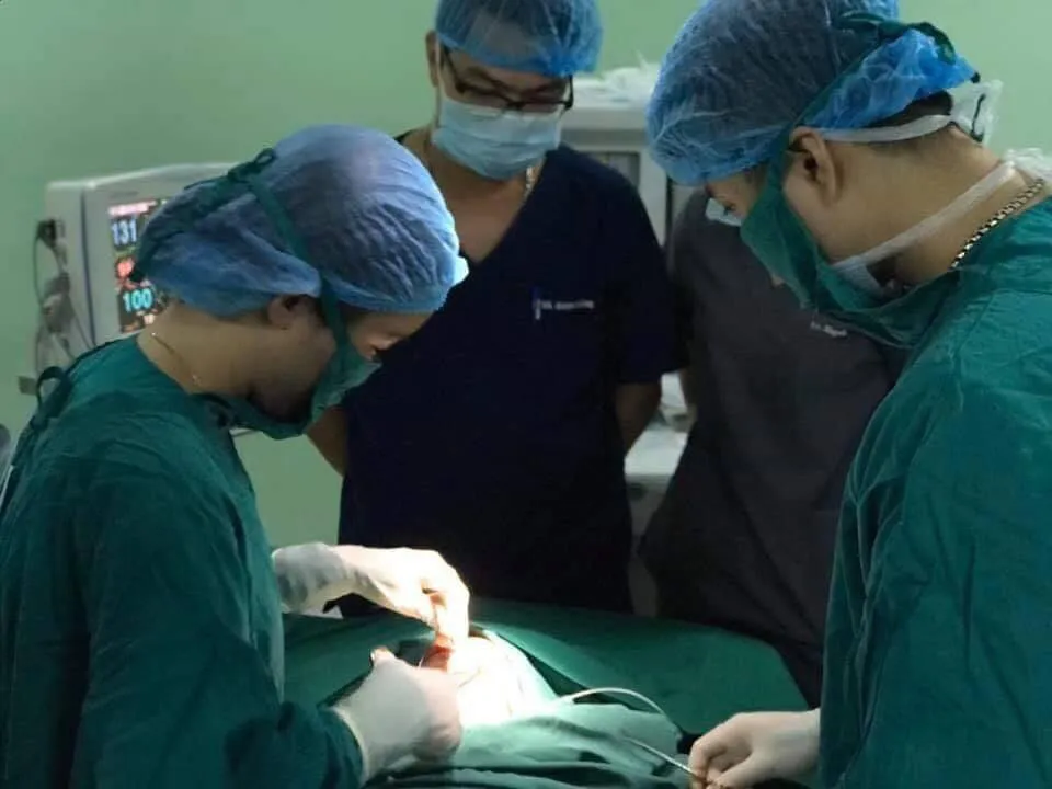 Chó Pitbull tấn công: Bé 4 tuổi đứt khí quản, rách vùng cổ ngực - Ảnh 1.