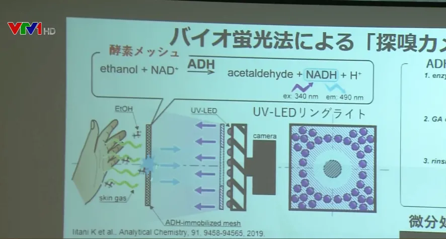 Thiết bị ph&aacute;t hiện kh&iacute; ph&aacute;t ra từ da - Ảnh 1.