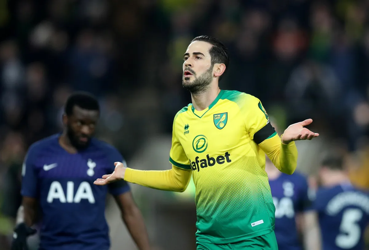 Norwich City 2-2 Tottenham: Chia điểm nhọc nhằn (Vòng 20 Ngoại hạng Anh) - Ảnh 2. Norwich City 2-2 Tottenham: Chia điểm nhọc nhằn (Vòng 20 Ngoại hạng Anh) - Ảnh 2.