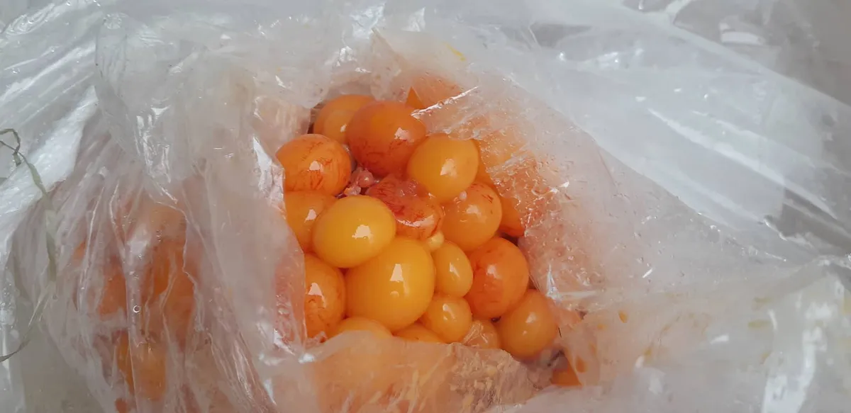 Phát hiện hai container nhập lậu đồ đông lạnh từ Trung Quốc trong sân siêu thị MM Mega Market - Ảnh 11.