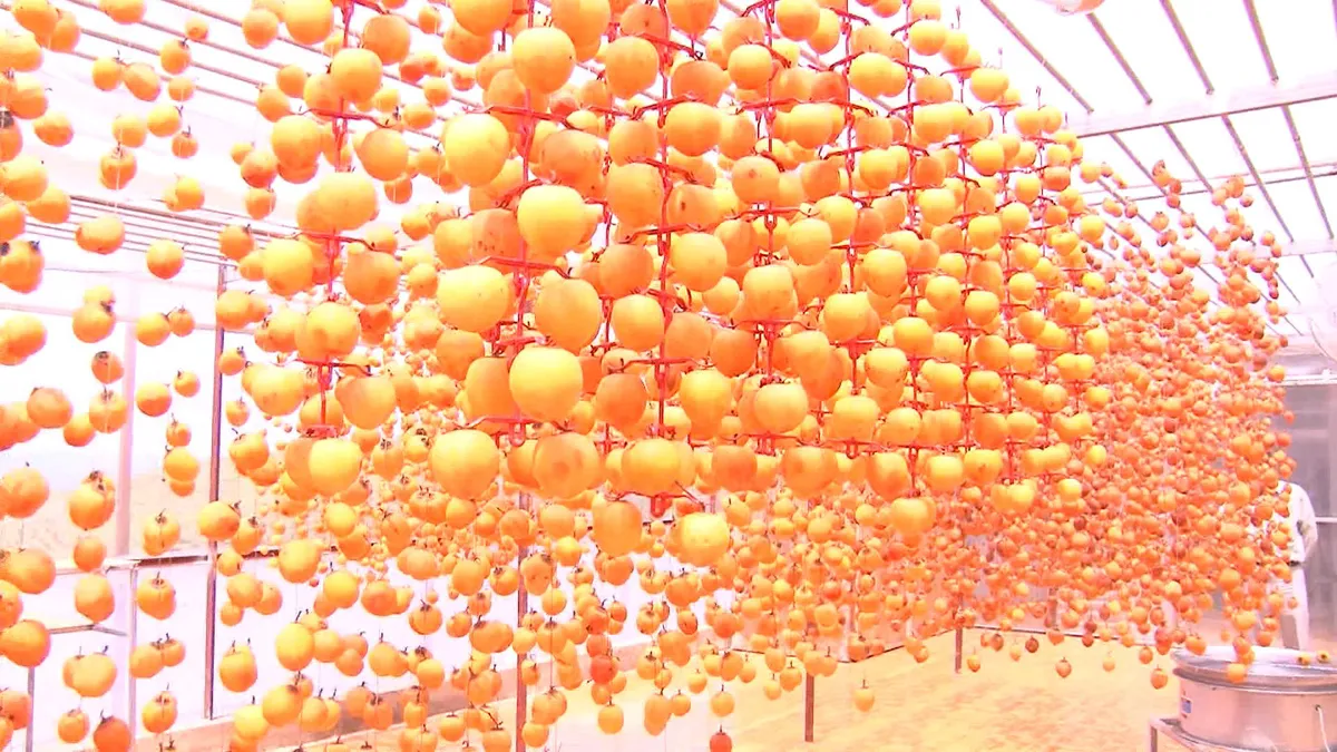 Đặc sản hồng treo Đà Lạt - Ảnh 2.
