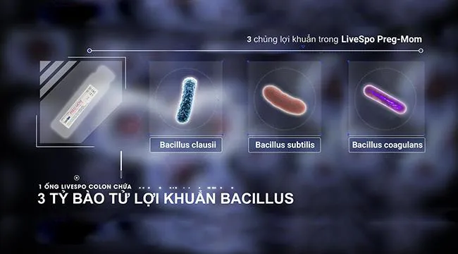 Lợi ích của bào tử lợi khuẩn Bacillus coagulans đối với trẻ bị rối loạn tiêu hóa - Ảnh 2. Lợi ích của bào tử lợi khuẩn Bacillus coagulans đối với trẻ bị rối loạn tiêu hóa - Ảnh 2.