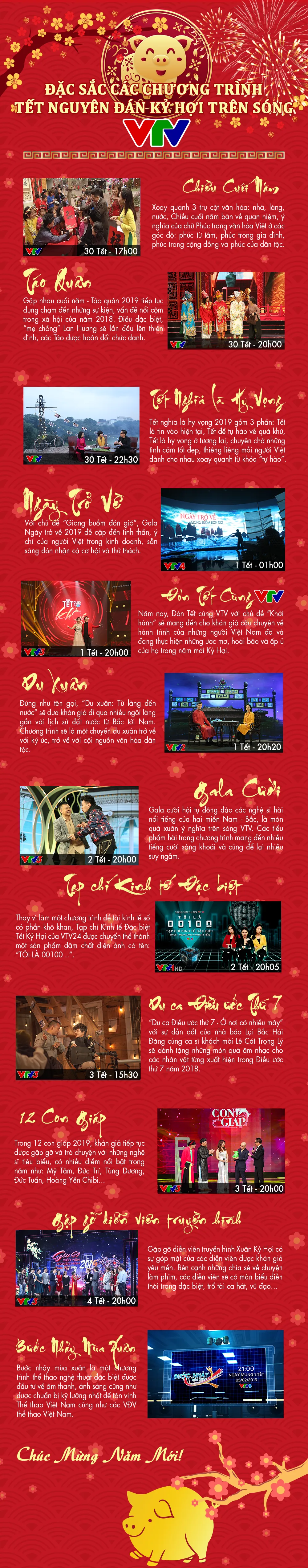 [INFOGRAPHIC] Đặc sắc các chương trình Tết Nguyên đán Kỷ Hợi 2019 trên sóng VTV - Ảnh 1.