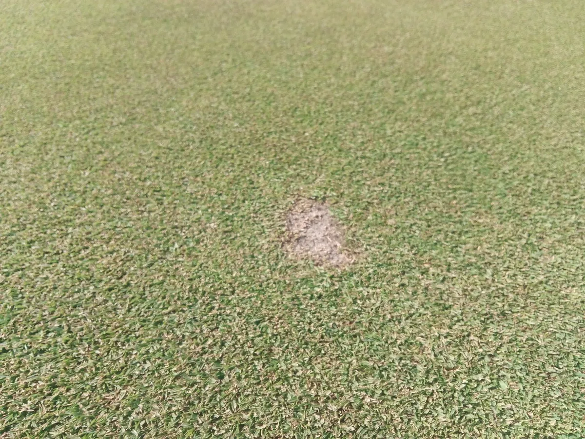 Phá green, thiếu kiềm chế ở bunker, Sergio Garcia bị loại khỏi European Tour Ả rập Xê út - Ảnh 2. Phá green, thiếu kiềm chế ở bunker, Sergio Garcia bị loại khỏi European Tour Ả rập Xê út - Ảnh 2.