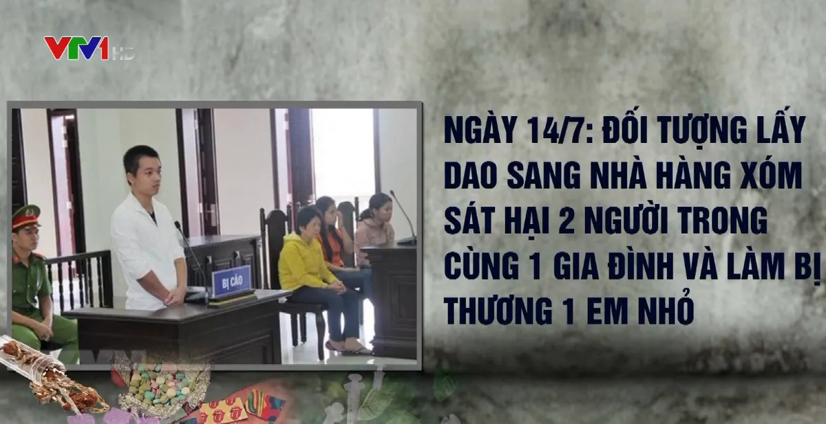 Những vụ ngáo đá giết người gây rúng động dư luận - Ảnh 2.