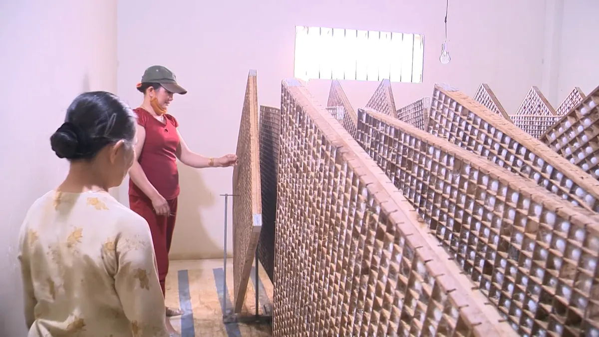 Xây dựng vùng sản xuất tơ lụa lớn nhất nước - Ảnh 2. Xây dựng vùng sản xuất tơ lụa lớn nhất nước - Ảnh 2.
