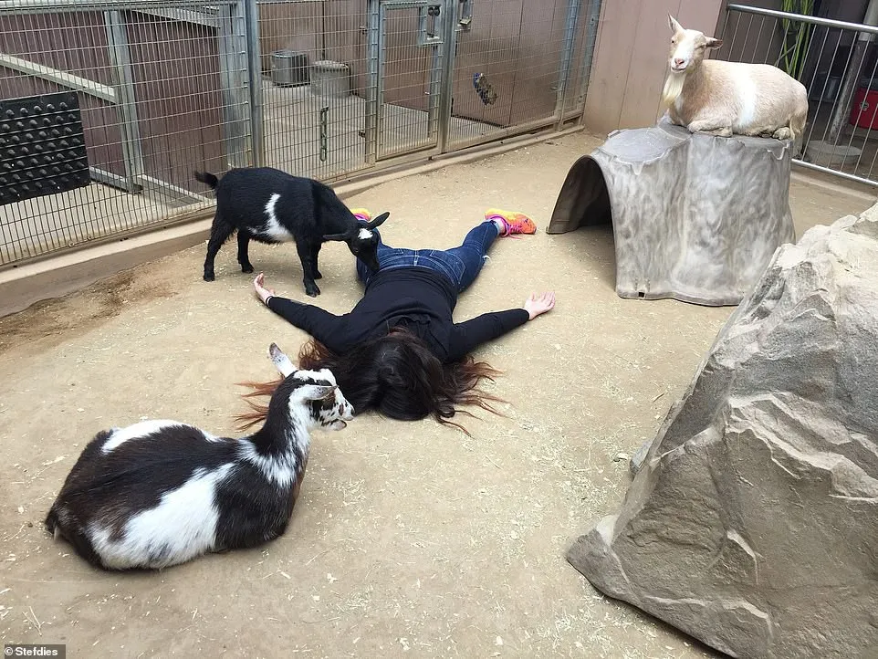 T&agrave;i khoản Instagram với tựa đề giả chết khắp thế gian - Ảnh 10.