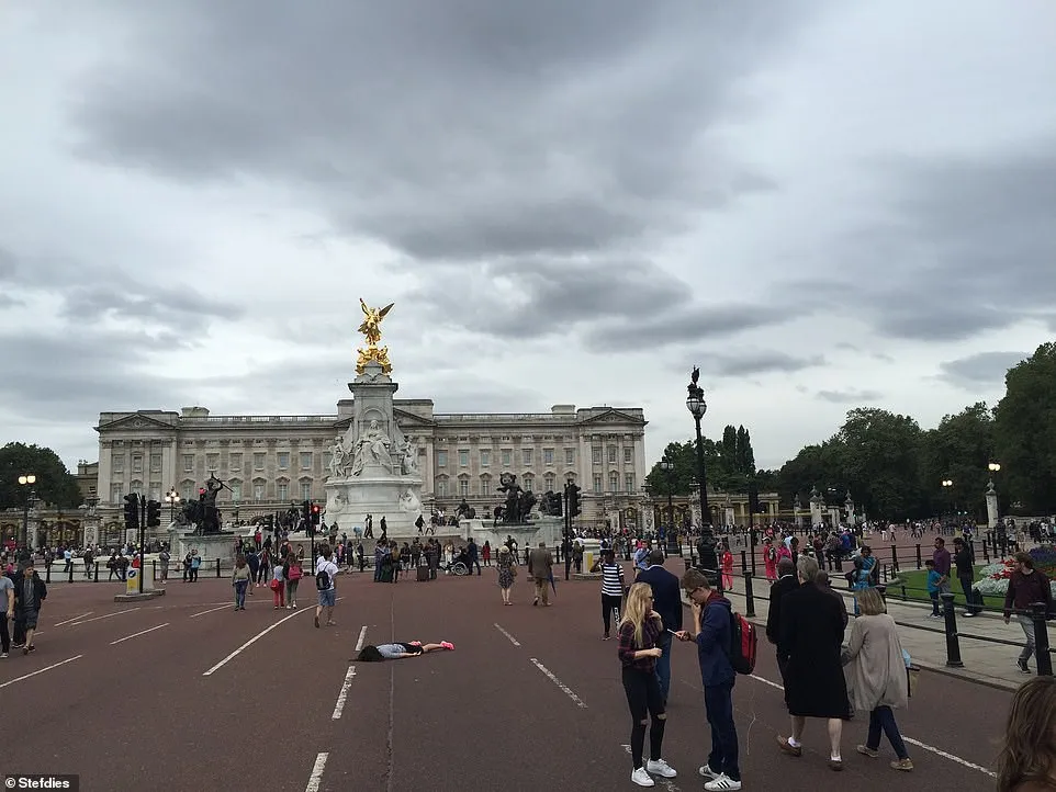 T&agrave;i khoản Instagram với tựa đề giả chết khắp thế gian - Ảnh 12.