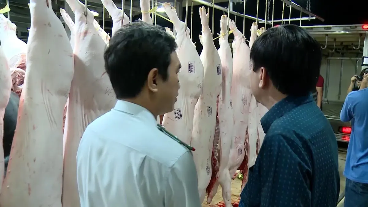 TP Hồ Chí Minh: Lo ngại dịch tả lợn châu Phi thâm nhập từ miền Tây - Ảnh 1.
