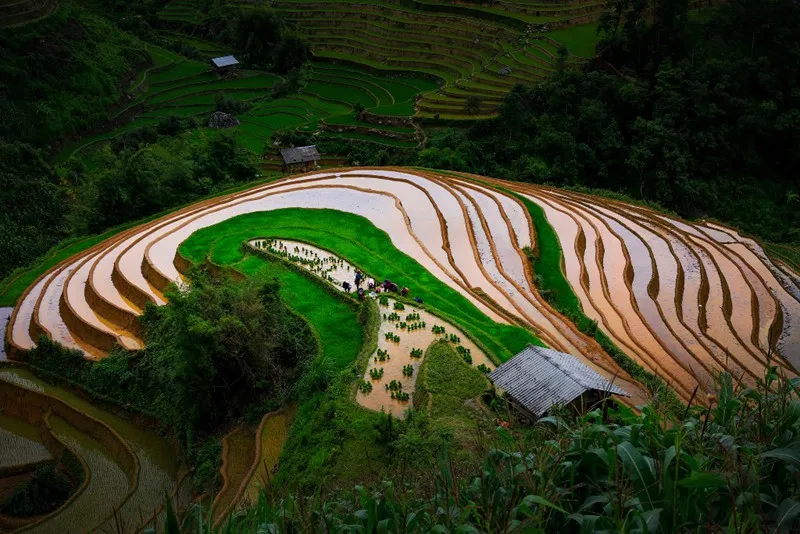 Ruộng bậc thang Mù Cang Chải mùa nước đổ qua góc máy của nghệ sỹ trẻ - Ảnh 5.