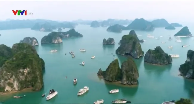 Quảng Ninh siết chặt quản lý, cấp phép cho các tàu du lịch - Ảnh 1. Quảng Ninh siết chặt quản lý, cấp phép cho các tàu du lịch - Ảnh 1.