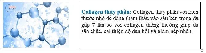 5 l&yacute; do n&ecirc;n chọn kem chống l&atilde;o h&oacute;a 22Again - Ảnh 2.
