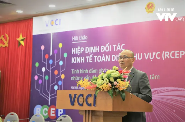 Doanh nghiệp Việt Nam kỳ vọng gì về Hiệp định RCEP? - Ảnh 1.