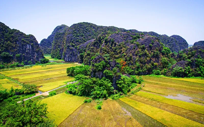 Ngắm mùa vàng Tam Cốc từ đỉnh Hang Múa - Ảnh 4.