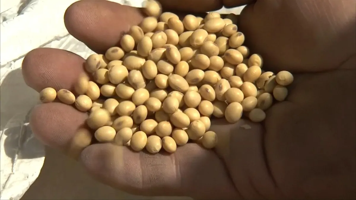 Gi&aacute; n&ocirc;ng sản Mỹ tuần qua tăng mạnh - Ảnh 1.