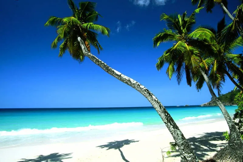 Cảnh đẹp m&ecirc; hồn của đảo quốc Seychelles xinh đẹp giữa Ấn Độ Dương - Ảnh 13.