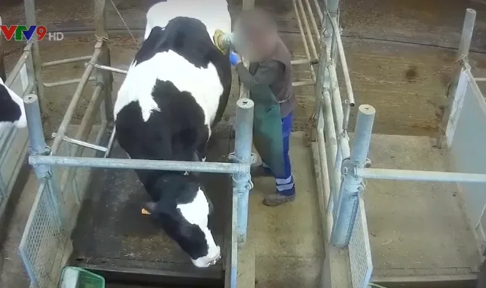 Video lên án ngược đãi động vật ở Pháp - Ảnh 2. Video lên án ngược đãi động vật ở Pháp - Ảnh 2.