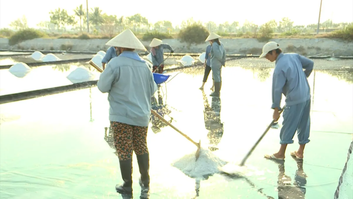 Khám phá cánh đồng muối Hòn Khói - Ảnh 4.