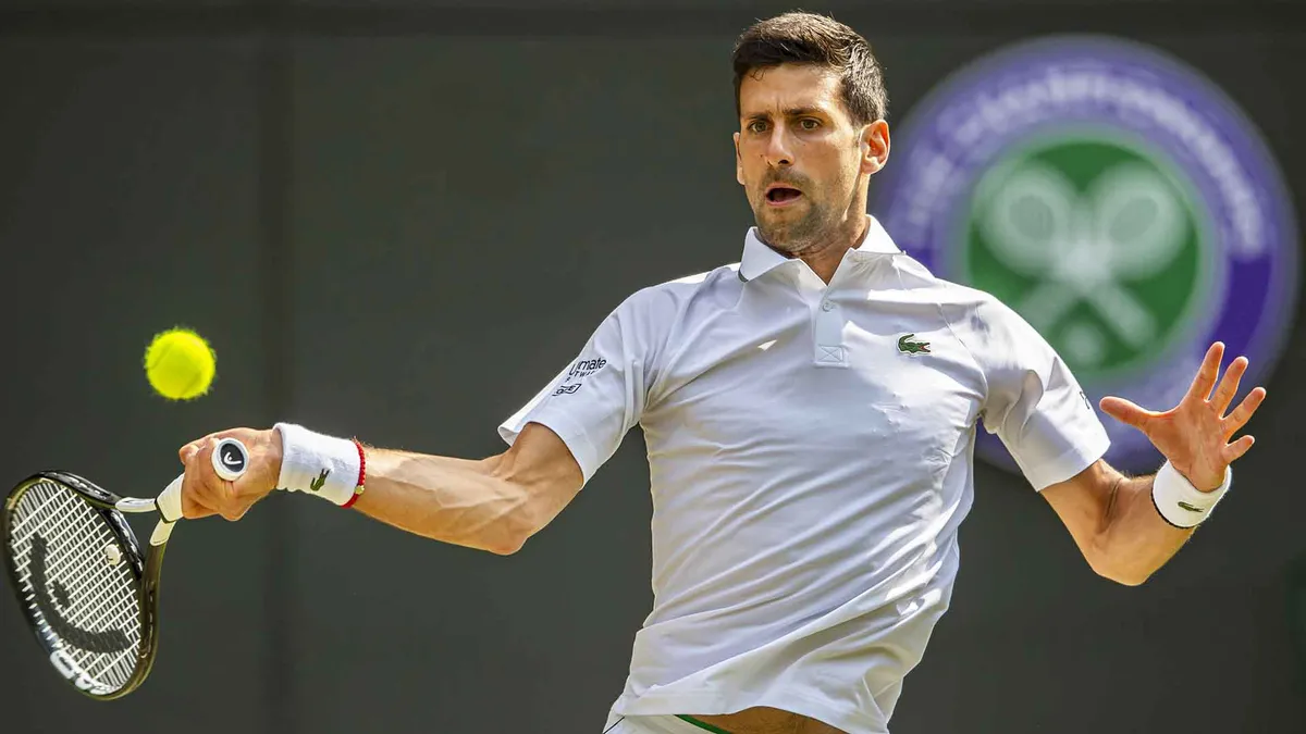 Novak Djokovic 3-0 (6/4, 6/0, 6/2) David Goffin: Dễ dàng tiến vào bán kết Wimbledon 2019 - Ảnh 1. Novak Djokovic 3-0 (6/4, 6/0, 6/2) David Goffin: Dễ dàng tiến vào bán kết Wimbledon 2019 - Ảnh 1.