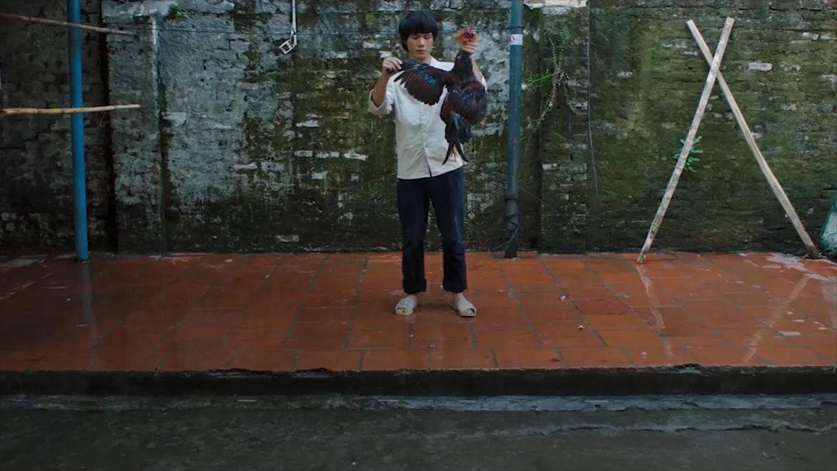 Phim điện ảnh Thành phố ngủ gật ra mắt trailer - Ảnh 1. Phim điện ảnh Thành phố ngủ gật ra mắt trailer - Ảnh 1.