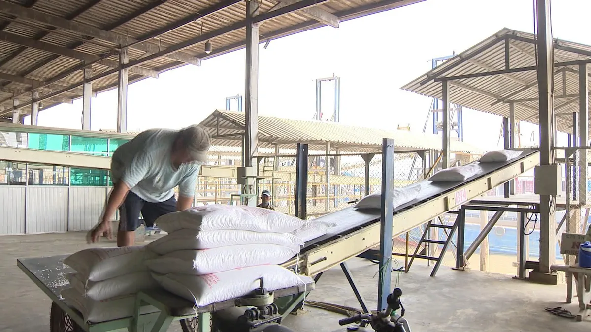 TP.HCM: Kim ngạch xuất khẩu m&aacute;y t&iacute;nh, điện tử v&agrave; linh kiện đạt khoảng 6 tỷ USD - Ảnh 1.