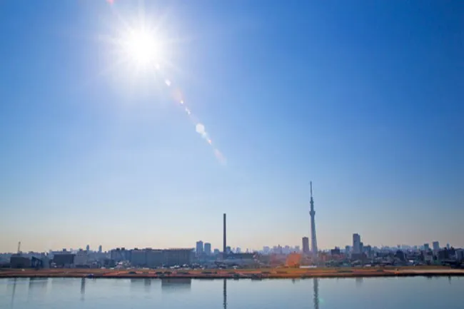 7 c&ocirc;ng dụng tuyệt vời để chăm s&oacute;c da từ quả lựu - Ảnh 6.