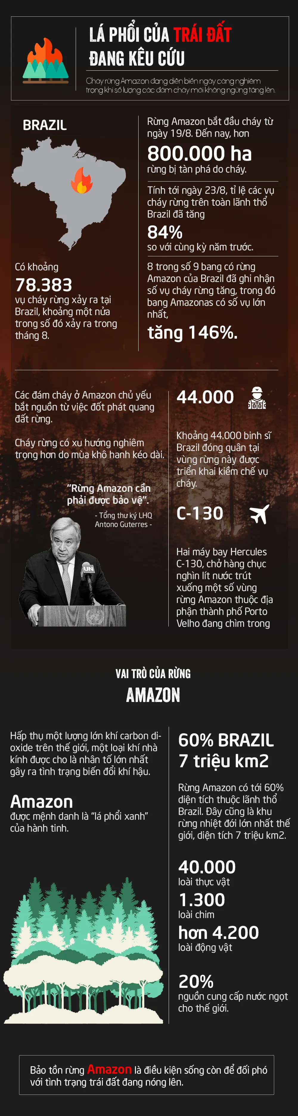 [Infographic] “Bà hỏa” thiêu đốt rừng Amazon: Lá phổi xanh của Trái đất kêu cứu - Ảnh 1.