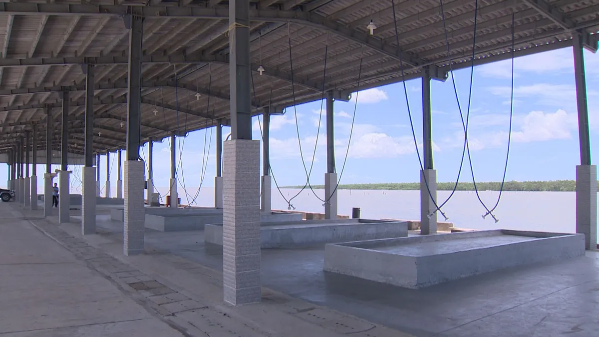 Cảng c&aacute; h&agrave;ng chục tỷ ở S&oacute;c Trăng c&oacute; nguy cơ bị l&atilde;ng ph&iacute; - Ảnh 1.