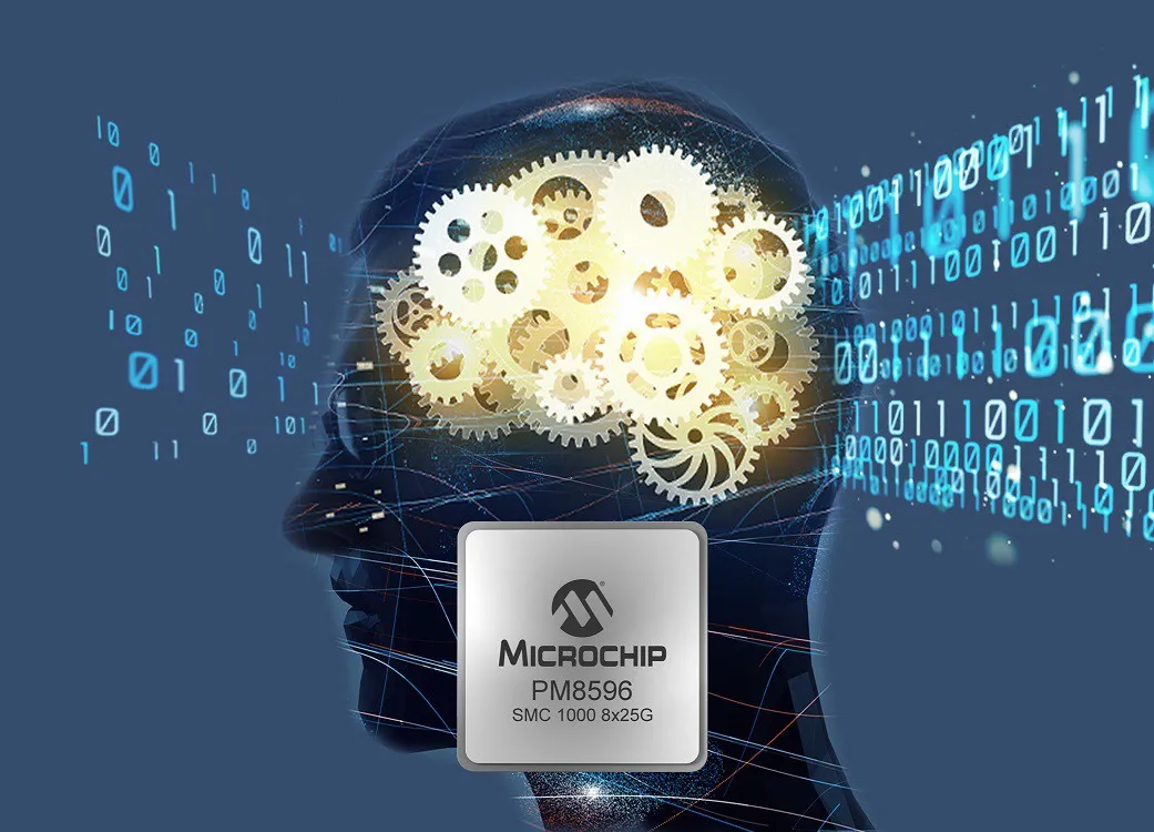 Microchip gia nhập thị trường cơ sở hạ tầng bộ nhớ - Ảnh 1.
