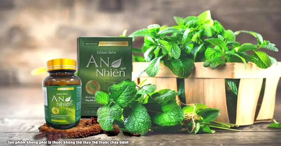 TPBVSK Giảm béo An Nhiên New - Hỗ trợ giảm cân an toàn, hiệu quả - Ảnh 2.