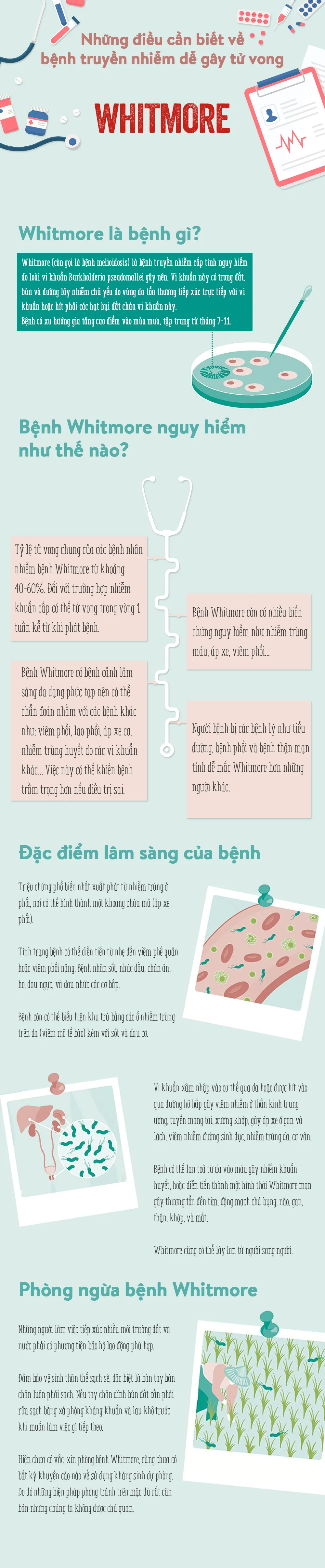 INFOGRAPHIC Những điều cần biết về bệnh truyền nhiễm dễ gây tử vong - Whitmore - Ảnh 1.