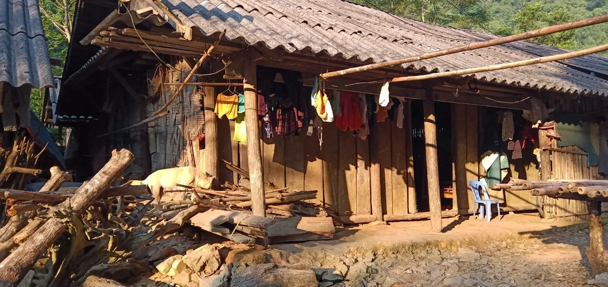 Ngã từ trên cao, bé gái bị cành cây đâm thủng trực tràng, đứt ruột non - Ảnh 1. Ngã từ trên cao, bé gái bị cành cây đâm thủng trực tràng, đứt ruột non - Ảnh 1.