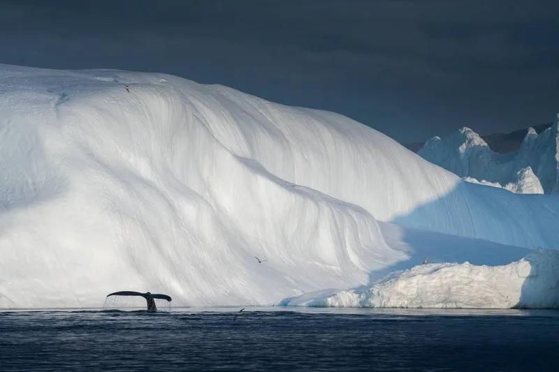 Chiêm ngưỡng vẻ đẹp băng giá ở Greenland - Ảnh 13.