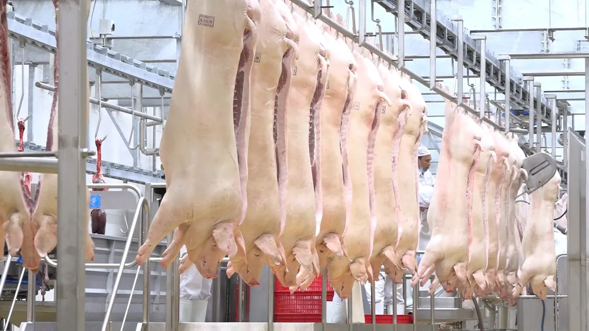 Giá lợn hơi có thể lên 60.000 đồng/kg do nguồn cung giảm mạnh - Ảnh 1. Giá lợn hơi có thể lên 60.000 đồng/kg do nguồn cung giảm mạnh - Ảnh 1.