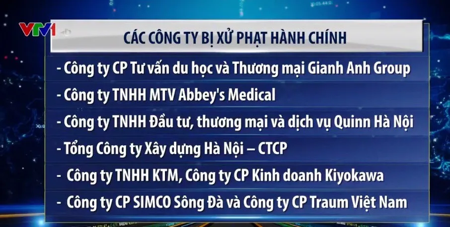 Hàng loạt DN xuất khẩu lao động bị xử phạt, thu hồi giấy phép - Ảnh 1.