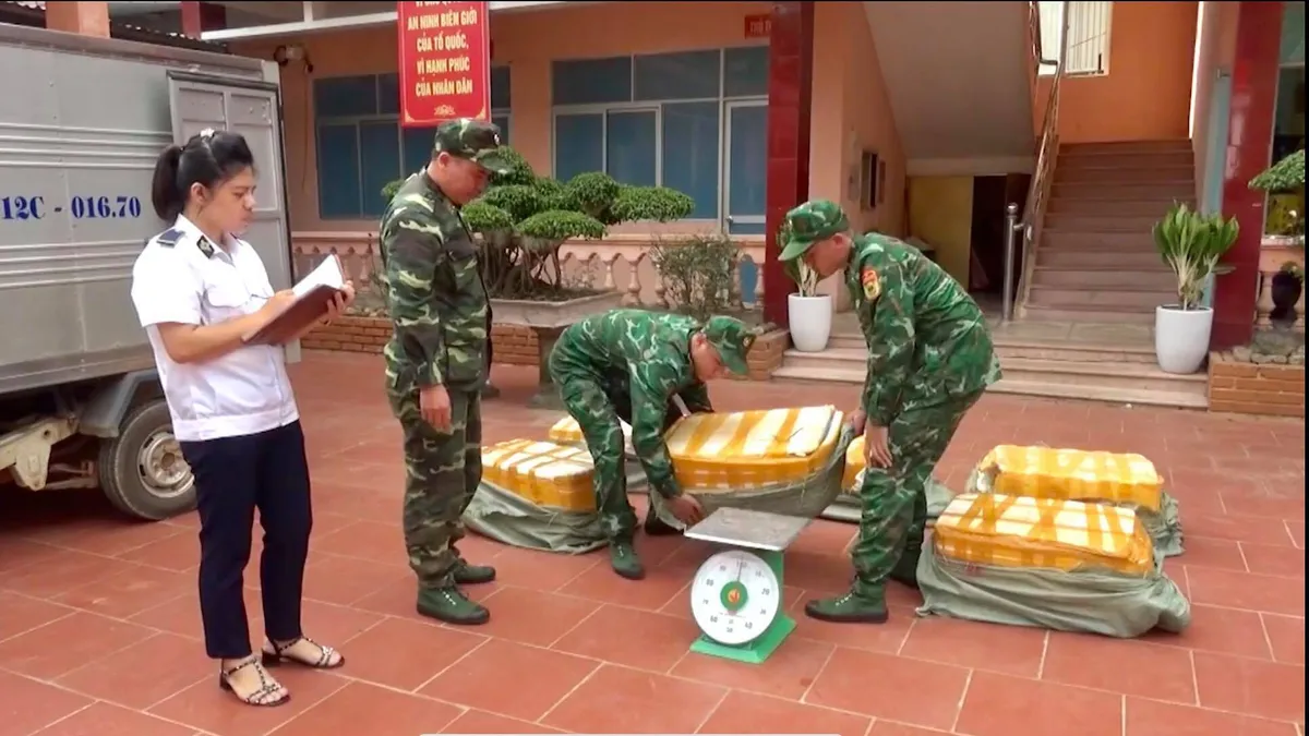 Lạng Sơn: Bắt giữ 450kg nầm lợn đông lạnh nhập lậu - Ảnh 1.