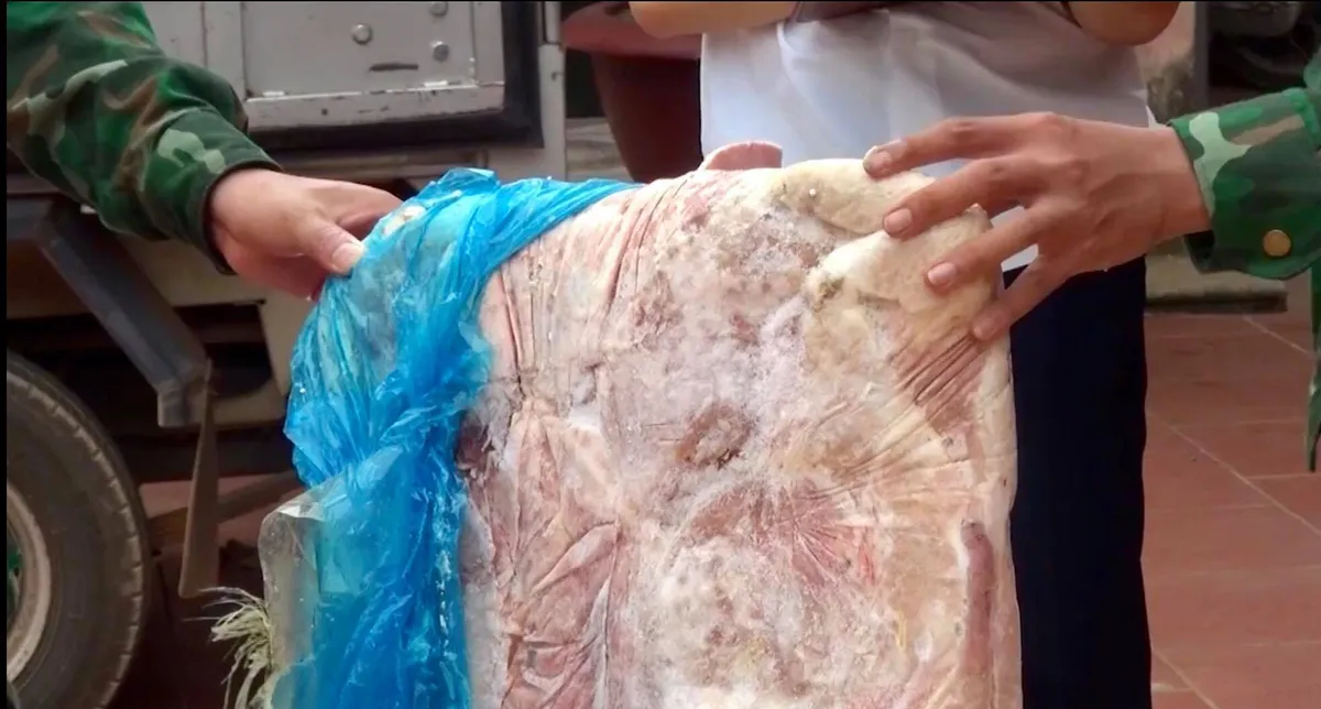 Lạng Sơn: Bắt giữ 450kg nầm lợn đông lạnh nhập lậu - Ảnh 2.