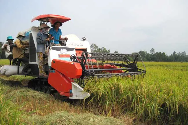 Giá nông sản Thái Lan dự báo sẽ tăng cao do hạn hán nghiêm trọng - Ảnh 1. Giá nông sản Thái Lan dự báo sẽ tăng cao do hạn hán nghiêm trọng - Ảnh 1.