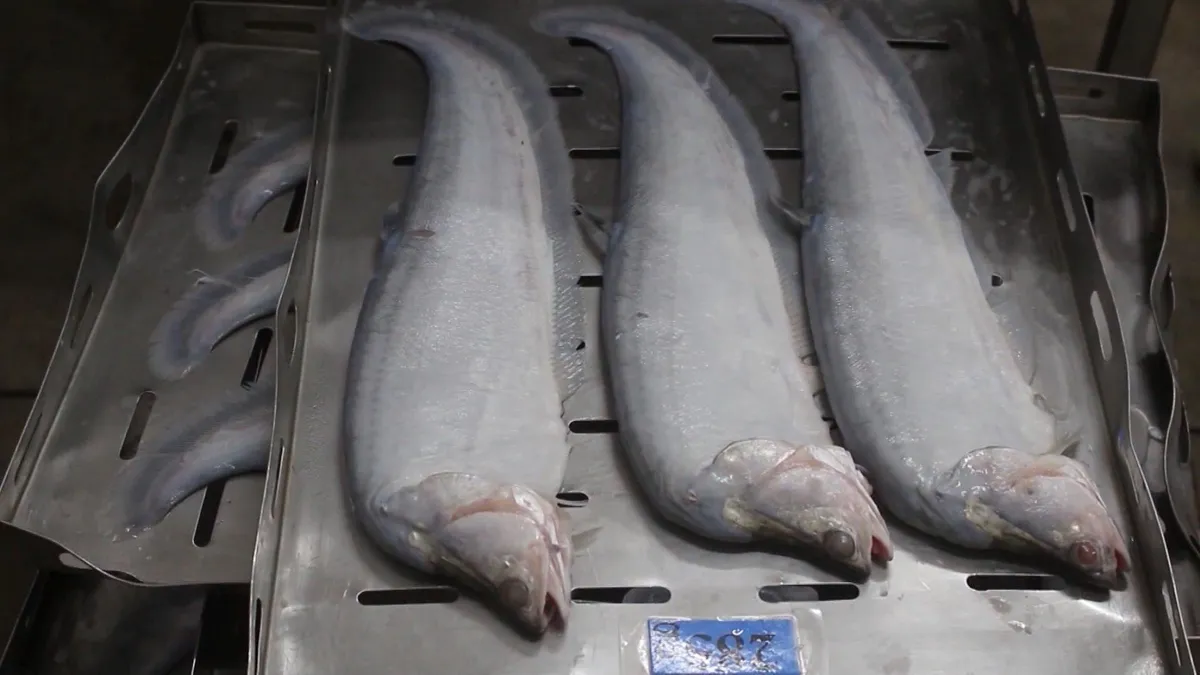 Hậu Giang: Chuẩn bị h&agrave;ng trăm tấn c&aacute; th&aacute;t l&aacute;t phục vụ Tết - Ảnh 1.