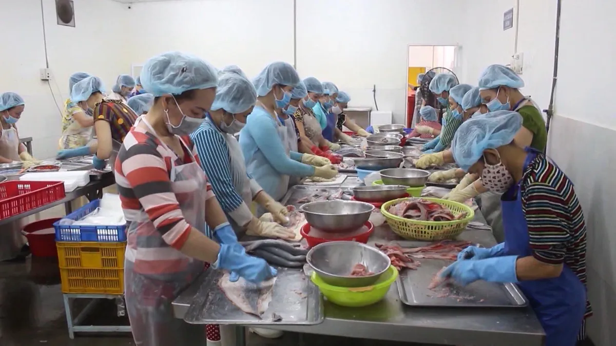 Hậu Giang: Chuẩn bị h&agrave;ng trăm tấn c&aacute; th&aacute;t l&aacute;t phục vụ Tết - Ảnh 2.