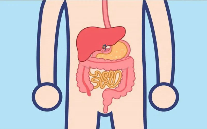 Bất ngờ với 8 lợi &iacute;ch sức khỏe của h&agrave;nh l&aacute; - Ảnh 1.