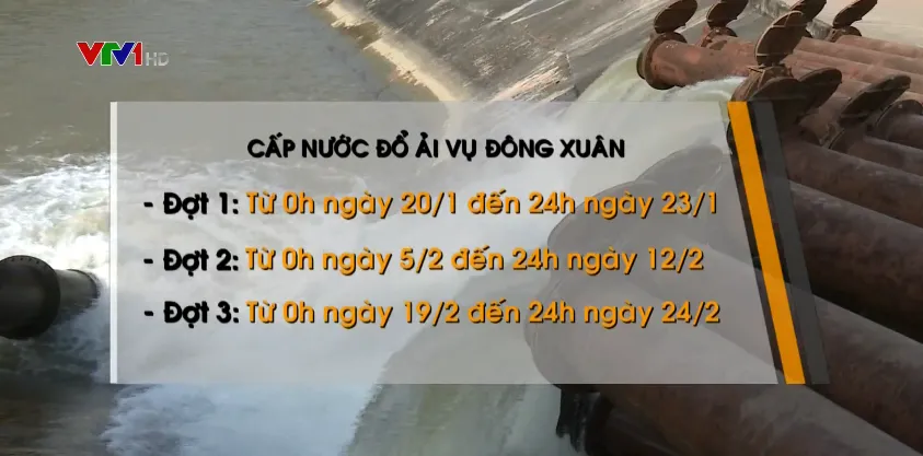 Chủ động lấy nước đổ ải từ hôm nay - Ảnh 1.