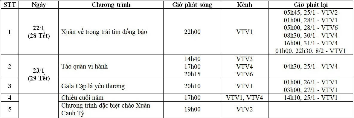 Xem gì Tết Nguyên đán Canh Tý trên VTV? - Ảnh 1.