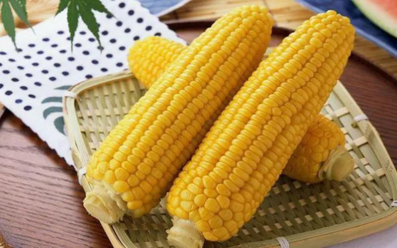 Khám phá những lợi ích cho sức khỏe từ bắp ngô - Ảnh 1.