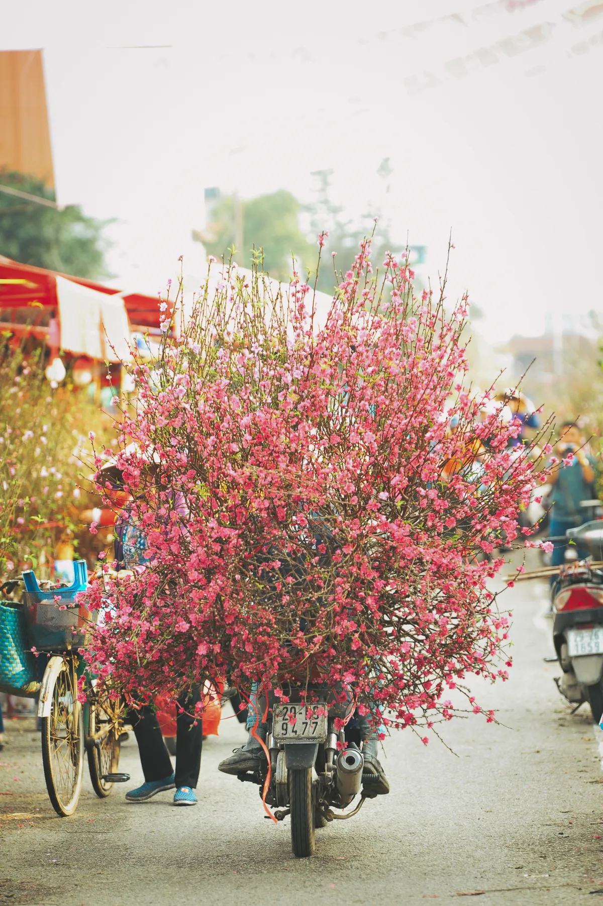 Người dân Hà Nội hối hả “chở” sắc hoa Tết về nhà - Ảnh 3.