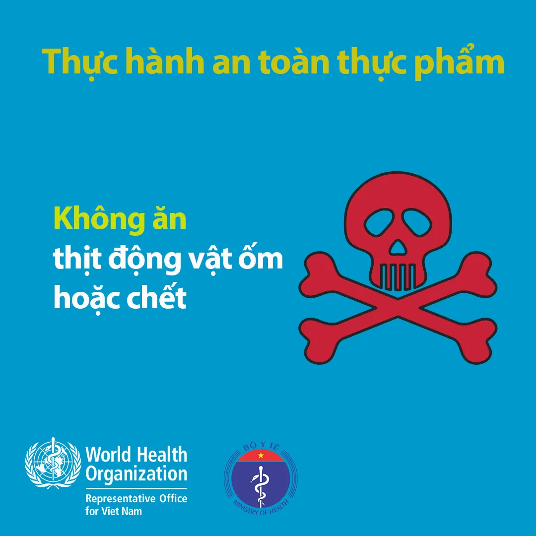 INFOGRAPHIC: Những lưu ý khi phòng, chống virus Corona - Ảnh 12.