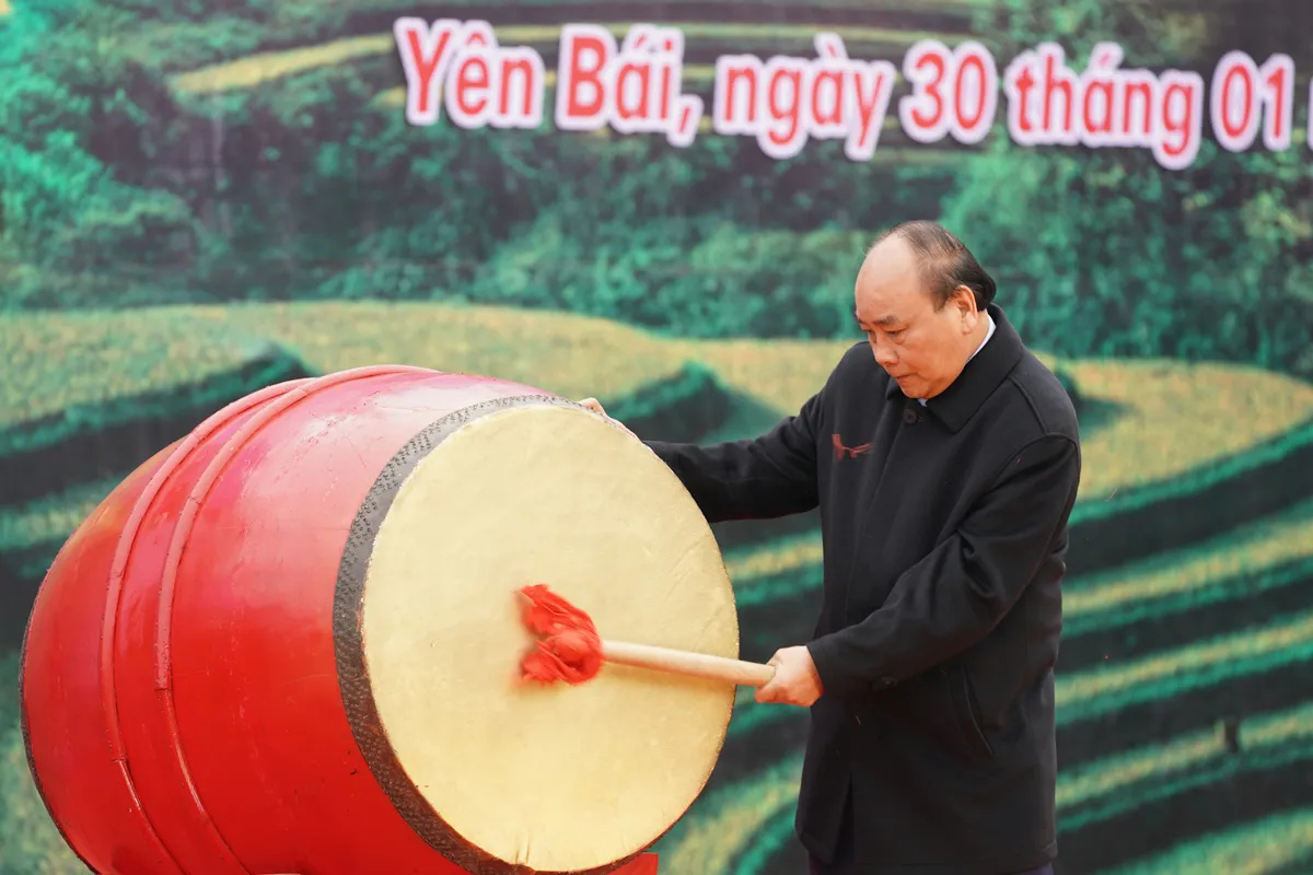 Thủ tướng ph&aacute;t động Tết trồng c&acirc;y - Ảnh 1.