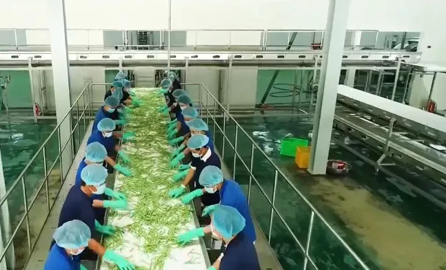 Doanh nghiệp lúng túng khi đưa hàng vào thị trường EU - Ảnh 1. Doanh nghiệp lúng túng khi đưa hàng vào thị trường EU - Ảnh 1.