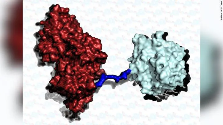 “Siêu enzyme” mới có thể phân hủy nhựa nhanh gấp 6 lần - Ảnh 1.